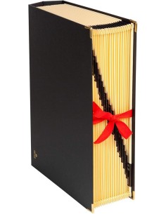 CARPETA ACORDEON Fº CARTON FORRADO NEGRO 20 MOD 1 31